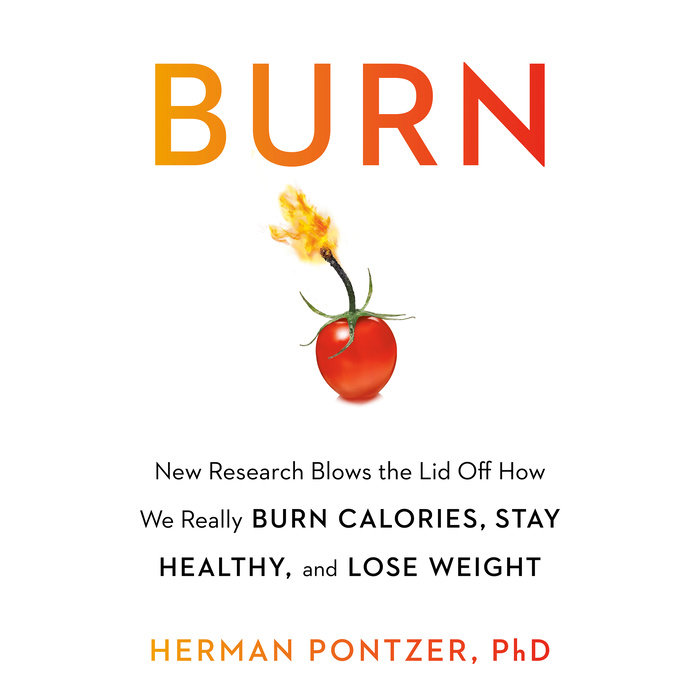 Cover of the book Burn with white backdrop and black and orange letters and a picture of a cherry bomb with a lit fuse